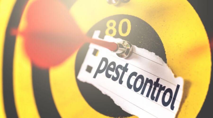 Professional 24 hour pest control services in Frederick